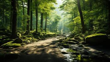 ai generado tranquilo escena verde árbol, otoño hoja, luz de sol, niebla, fluido agua generado por ai foto