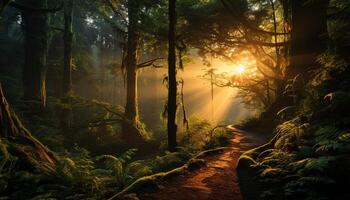 ai generado tranquilo bosque camino revela naturaleza belleza en otoño misterio generado por ai foto