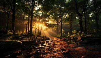 ai generado tranquilo otoño atardecer, naturaleza belleza reflejado en tranquilo aguas generado por ai foto