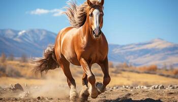 AI generated Running stallion in meadow, freedom in nature beauty generated by AI photo