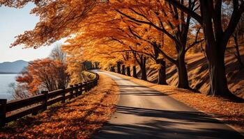 ai generado tranquilo otoño bosque, vibrante hojas, amarillo y naranja, naturaleza belleza generado por ai foto