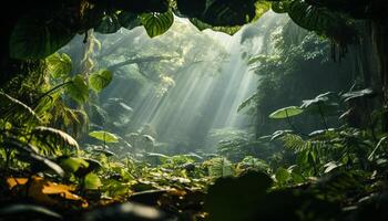 AI generated Tranquil scene  wet ferns, green trees, fog in the forest generated by AI photo