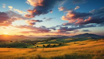 AI generated Tranquil meadow, sunset sky, vibrant nature a picturesque landscape generated by AI photo