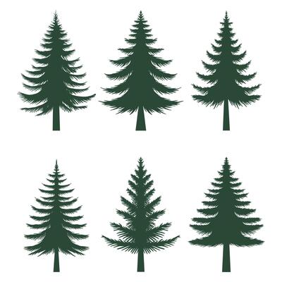 Pine tree silhouette set collection
