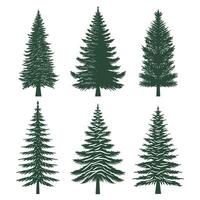 Pine tree silhouette set collection vector