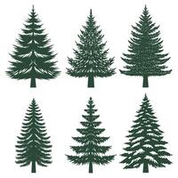 Pine tree silhouette set collection vector