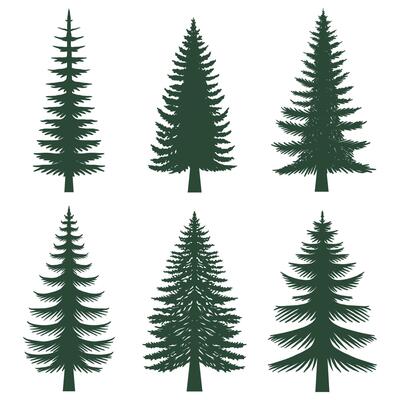 Pine tree silhouette set collection