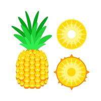 Bright illustration of a whole pineapple beside its cross-section and a round slice vector