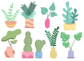 conjunto de color vector ilustraciones con varios plantas en diferente flor ollas con patrones