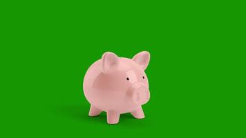 3d animation of Golden coins falling into a piggy bank. Pink piggy bank Get bigger when receiving coins Money saving green screen chroma key concept video