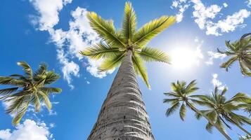 ai generado alto palma árbol con luz de sol. generativo ai. foto