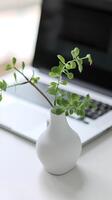 AI generated White Vase With Plant in Front of Laptop. Generative AI. photo