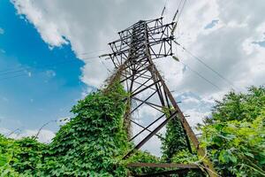 bottom view on the power line in the countryside against a blue sky and green ivy. Close-up photo