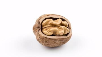 AI generated - Half a walnut isolated on a white surface. photo