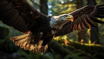 AI generated Majestic bird of prey flying freely in nature tranquility generated by AI photo