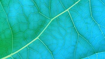 ai generado un de cerca de un Rábano picante hoja presentando un mosaico de células y venas, resumen naturaleza estructura, y un azul verde teñido fondo, ideal para utilizar como un vegetal fondo de pantalla. foto