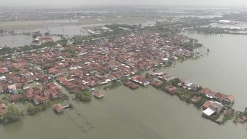 aereo fuco metraggio di residenti case essere allagato nel dimak, centrale Giava, Indonesia 4k fuco video - visivo udara situazione banjir di kabupaten dimak, jawa tenga, Indonesia