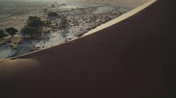 Girl on top of a sand dune in Namibia video