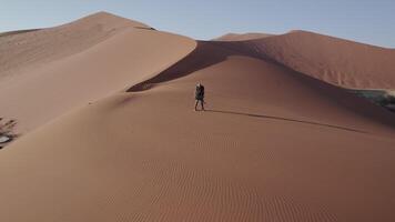 Wanderer stands on the largest dune in the world, Namibia video