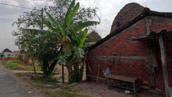 Lots of brick kilns baking bricks in Mang Thit pottery village Vinh Long Vietnam video