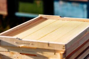 Frame for honeycomb of bees. Beeswax. Wax base for honey bee rebuilding on a white background. Honeycombs. photo