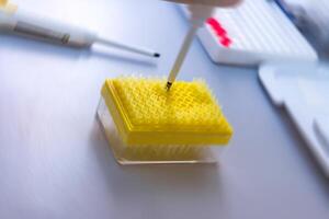 Young researcher using laboratory sampler. Scientist analyzing in a lab photo