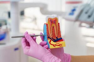 Teeth model on hand on blurred background. Plastic teeth in one row with visible connectors. Human jaw for dentistry training. photo