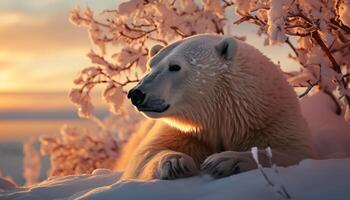 AI generated Majestic arctic mammal, fur glistening in tranquil winter landscape generated by AI photo