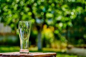 Empty glass of beer on green nature background photo