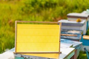 new wooden yellow frame for bees is on a beehive on the background of a garden in the summer. Close-up photo
