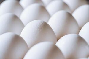 Chicken white eggs closeup. Farm products and natural eggs. Healthy food. photo