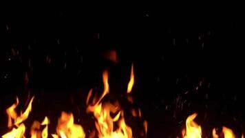 Beautiful Looped Fire on Black background video