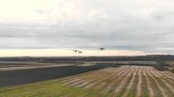 drones vliegend over- agrarisch velden, drie drones zweven bovenstaand gevormde landerijen onder een bewolkt lucht. video