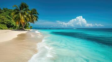 ai generado paraíso playa con palma árboles, calma océano, luz solar, y un azul cielo en un panorámico bandera. ai generado. foto