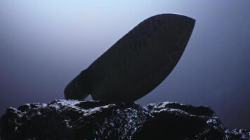 un costoso exclusivo cuchillo con un prima diseño en nubes de fumar entre el piedras despacio gira en frente de el cámara. video