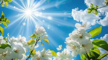 AI generated Spring unveils white blossoms, basking in the sunlight against the backdrop of a blue sky. Ai Generated. photo