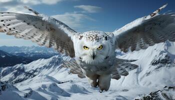 AI generated Majestic eagle owl soaring through snowy mountains, eyes focused generated by AI photo