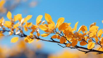 AI generated The vibrant autumn leaf on the tree showcases nature beauty generated by AI photo