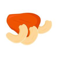 chasew fruit with cashew nut illustration vector