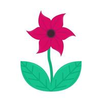 flower plant illustration vector