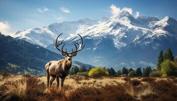 AI generated Majestic stag grazes on mountain meadow, surrounded by tranquil beauty generated by AI photo