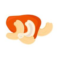 chasew fruit with cashew nut illustration vector