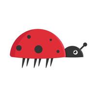 Illustration of ladybug vector