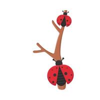 Illustration of ladybug vector