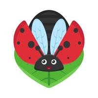 Illustration of ladybug vector