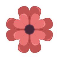 flower nature illustration vector