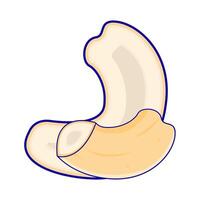 cashew nut illustration vector