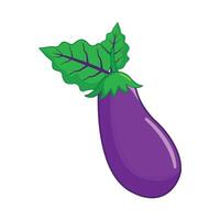 eggplant vegetable  illustration vector