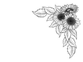 Flower Border Line Art Illustration vector