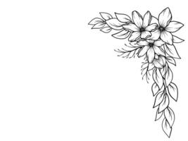 Flower Border Line Art Illustration vector